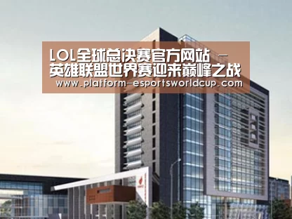 案例展示七