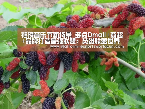 全球总决赛官网