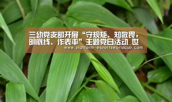 三幼党支部开展“守规矩、知敬畏,明底线、作表率”主题党日活动_世界赛官网(图1) 世界赛官网