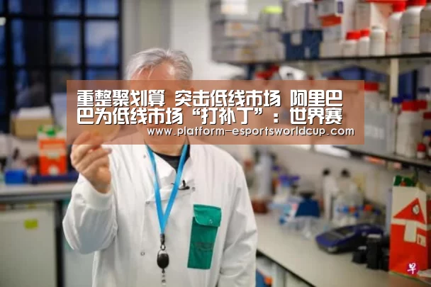 重整聚划算 突击低线市场 阿里巴巴为低线市场“打补丁”:世界赛官网(图1) 英雄联盟世界赛