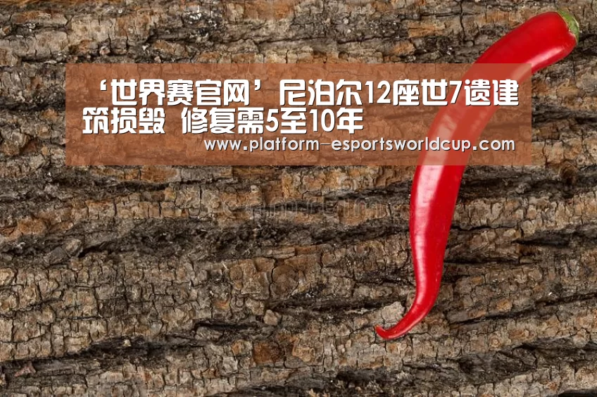 ‘世界赛官网’尼泊尔12座世7遗建筑损毁 修复需5至10年(图2) 英雄联盟世界赛